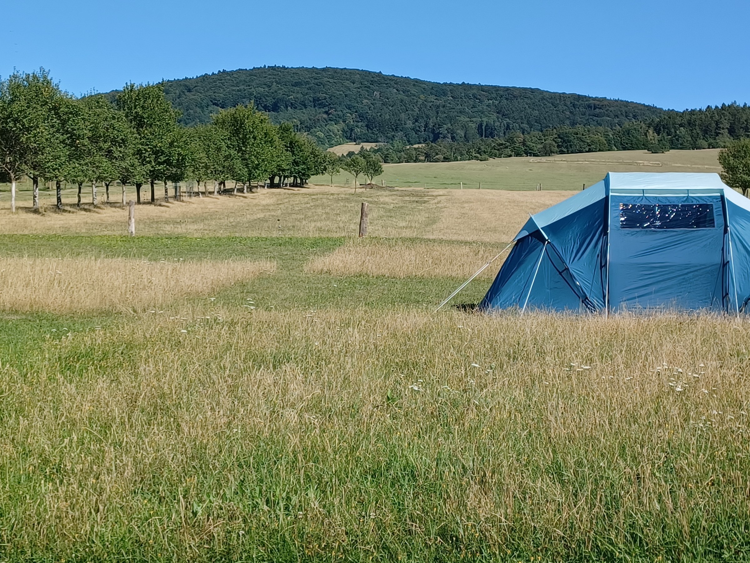Louka pod zalesněným kopcem s modrým stanem